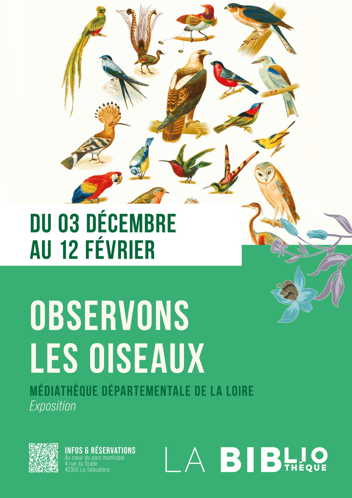 Affiche observons-les-oiseaux